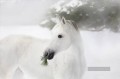 Porträt des weißen Pferdes auf den Pinien und Schnee